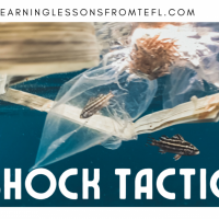 Shock Tactics: An environmental lesson plan